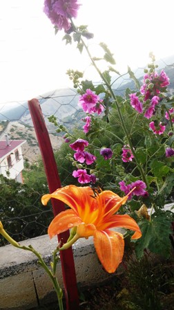 Name:  047.jpg
Views: 495
Size:  48.4 KB