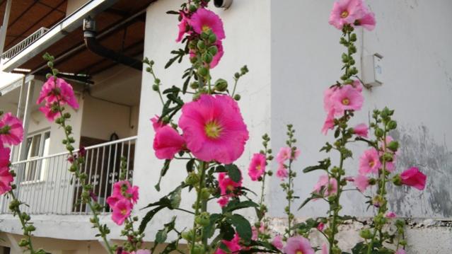 Name:  076.jpg
Views: 493
Size:  41.8 KB