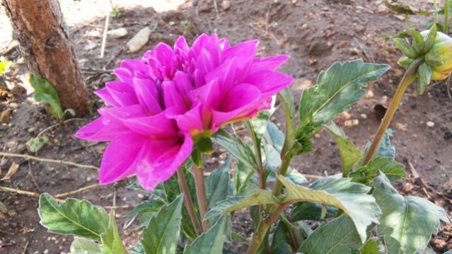Name:  040.jpg
Views: 451
Size:  48.7 KB