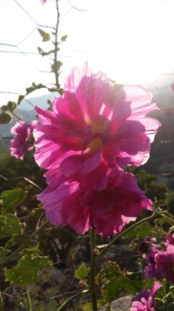 Name:  063.jpg
Views: 445
Size:  38.2 KB