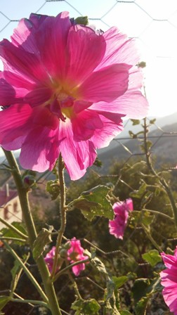Name:  064.jpg
Views: 453
Size:  44.9 KB