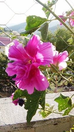Name:  065.jpg
Views: 454
Size:  54.8 KB