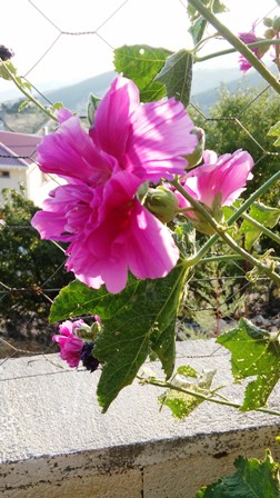 Name:  066.jpg
Views: 456
Size:  57.1 KB