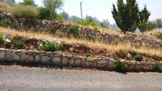 Name:  042.jpg
Views: 443
Size:  52.6 KB