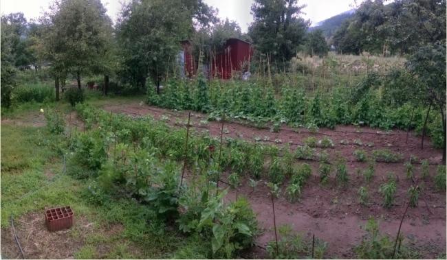 Name:  14.07.2019 bahe soldan panoramik 1.jpg
Views: 540
Size:  53.6 KB