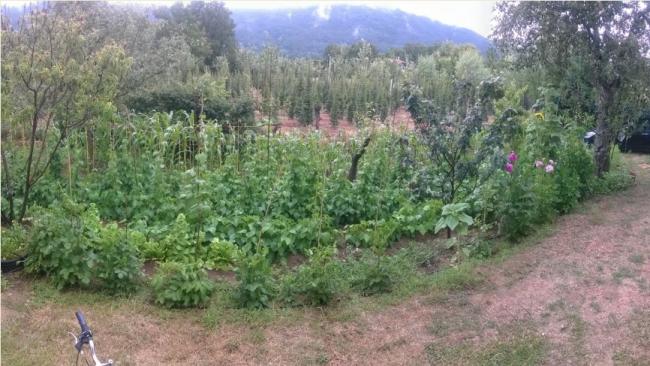Name:  14.07.2019 bahe soldan panoramik yan.jpg
Views: 553
Size:  54.2 KB