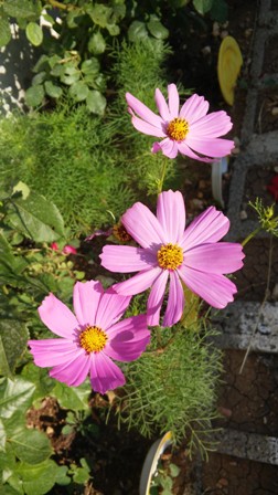 Name:  110.jpg
Views: 394
Size:  53.1 KB