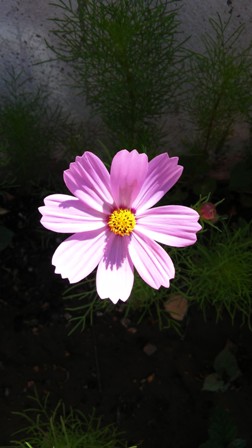 Name:  120.jpg
Views: 433
Size:  34.7 KB