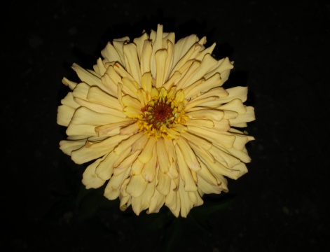Name:  009.jpg
Views: 328
Size:  48.2 KB