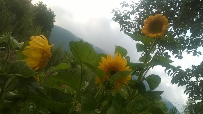Name:  17.07.2019 ayiei& yamur.jpg
Views: 562
Size:  38.1 KB