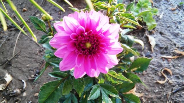 Name:  208.jpg
Views: 253
Size:  48.9 KB