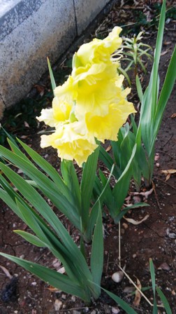 Name:  216.jpg
Views: 252
Size:  53.1 KB