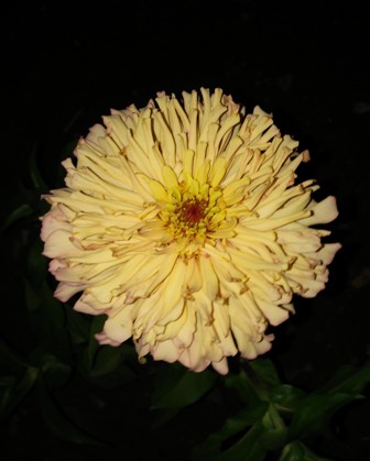 Name:  047.jpg
Views: 216
Size:  36.2 KB