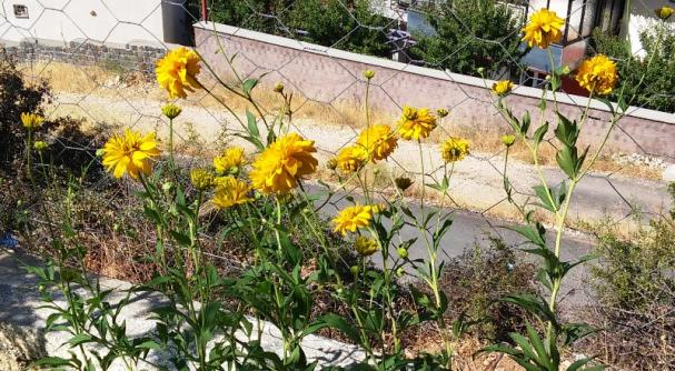 Name:  031.jpg
Views: 226
Size:  70.4 KB