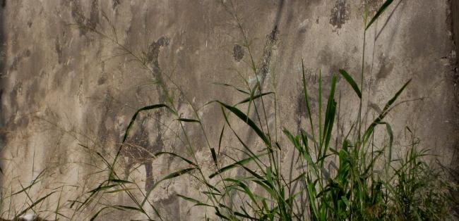Name:  IMG_0132 - Kopya.jpg
Views: 615
Size:  42.1 KB