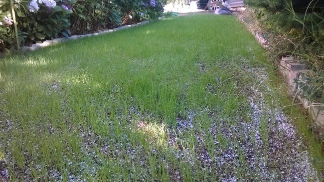 Name:  07.08.2019 im 2-min.jpg
Views: 459
Size:  67.2 KB