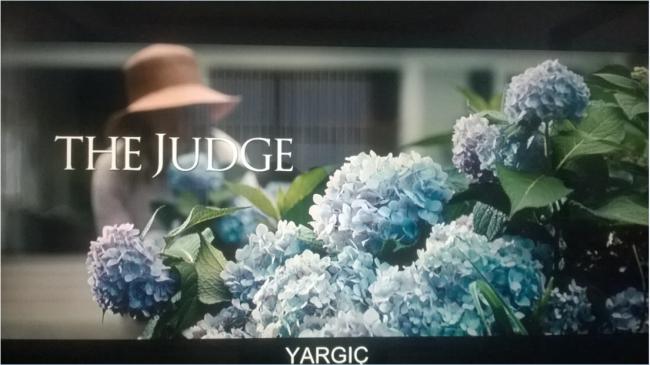 Name:  the judge.jpg
Views: 478
Size:  36.9 KB