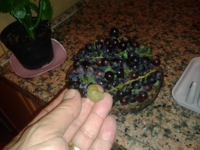 Name:  20190820_204136-min.jpg
Views: 1018
Size:  44.2 KB