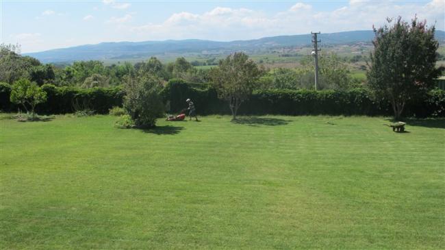 Name:  IMG_4663 (800 x 449).jpg
Views: 753
Size:  35.3 KB