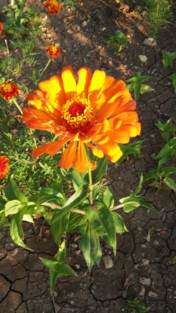 Name:  022.jpg
Views: 163
Size:  60.7 KB