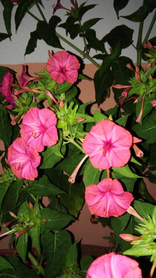 Name:  071.jpg
Views: 344
Size:  78.2 KB