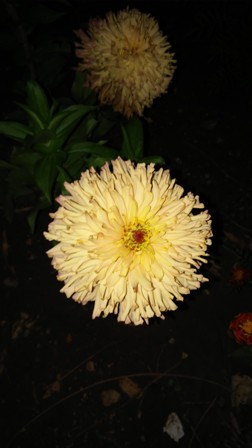 Name:  060.jpg
Views: 314
Size:  30.5 KB