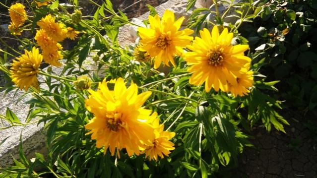 Name:  012.jpg
Views: 303
Size:  56.7 KB