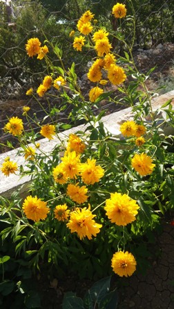Name:  149.jpg
Views: 293
Size:  64.8 KB