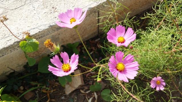 Name:  108.jpg
Views: 256
Size:  52.1 KB