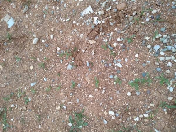 Name:  IMG_20200407_184142.jpg
Views: 261
Size:  72.0 KB