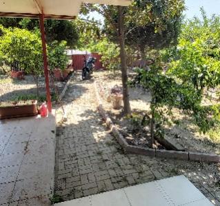 Name:  bahe ii 4.jpg
Views: 586
Size:  29.0 KB