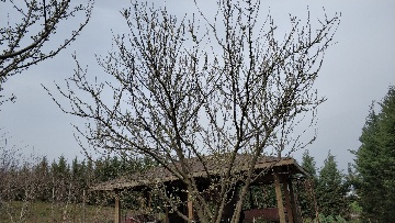 Name:  IMG_20200308_134355-360x203.jpg
Views: 244
Size:  49.7 KB