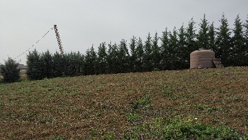 Name:  IMG_20200308_134602-360x203.jpg
Views: 252
Size:  41.2 KB