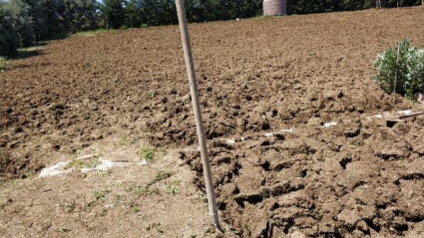 Name:  IMG_20200425_130521-600x338.jpg
Views: 253
Size:  69.5 KB
