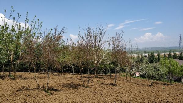 Name:  IMG_20200501_132707-600x338.jpg
Views: 237
Size:  48.2 KB