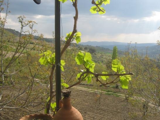 Name:  uyan.jpg
Views: 554
Size:  39.6 KB