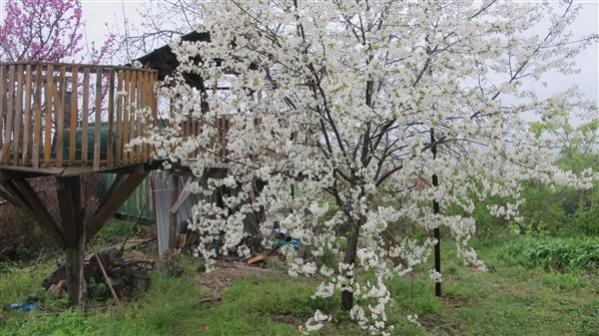 Name:  IMG_5168 (600 x 337).jpg
Views: 231
Size:  50.8 KB