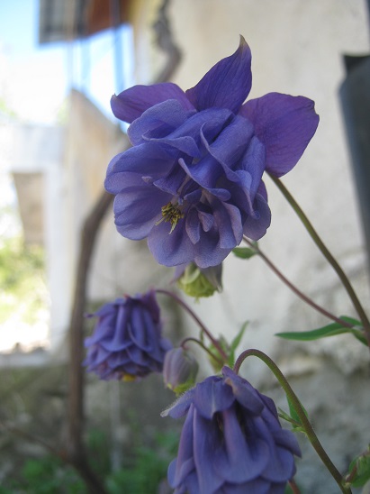 Name:  haseki2.jpg
Views: 434
Size:  62.5 KB