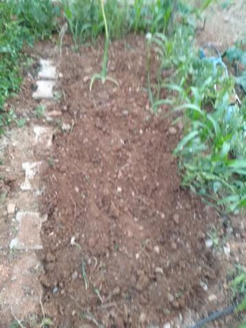Name:  IMG_20200607_193803.jpg
Views: 325
Size:  33.2 KB