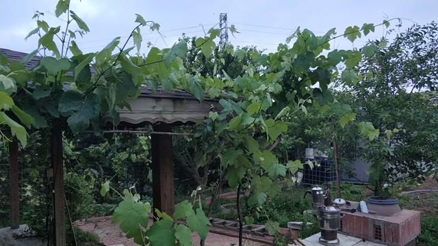 Name:  IMG_20200616_201800 (Copy).jpg
Views: 495
Size:  59.7 KB