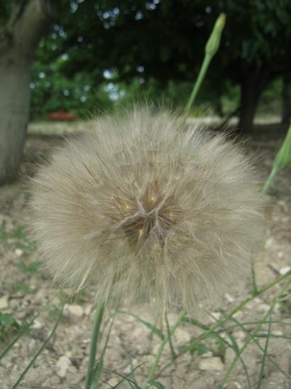 Name:  yemlik.jpg
Views: 838
Size:  30.0 KB