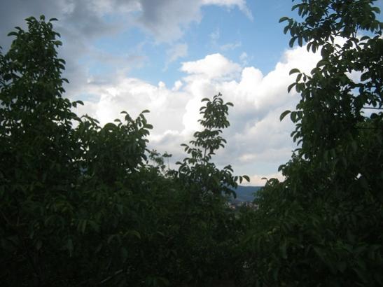 Name:  ceviz a..jpg
Views: 813
Size:  33.6 KB