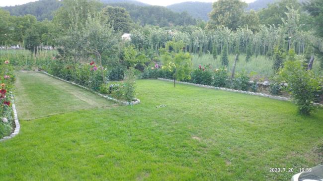 Name:  geni a bahe n taraf 20.07.2020.jpg
Views: 565
Size:  48.2 KB