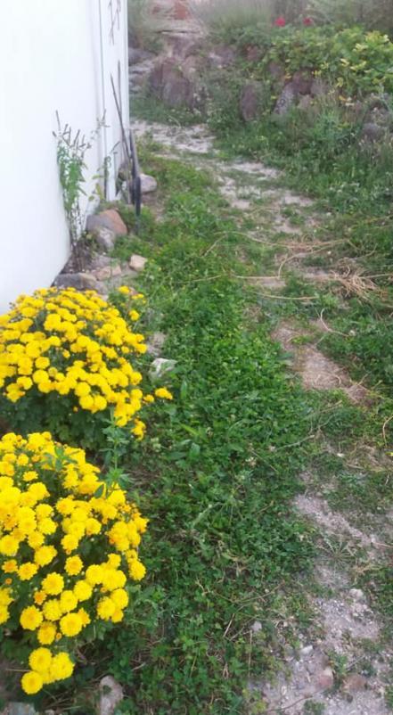 Name:  118359457_306293403776956_2567894202886978940_n.jpg
Views: 330
Size:  75.3 KB