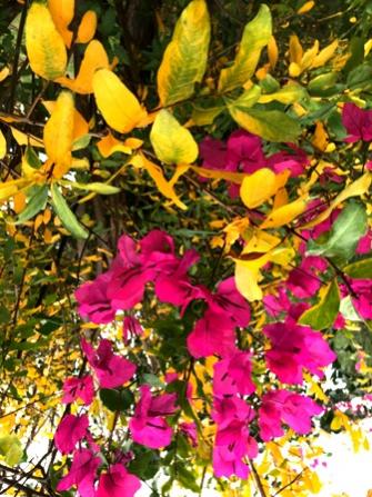 Name:  IMG_0888.jpg
Views: 343
Size:  44.4 KB