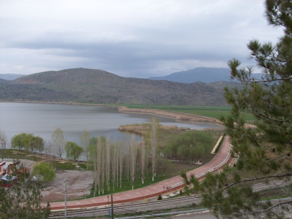 Name:  100_0023 (600 x 450).jpg
Views: 1311
Size:  60.4 KB
