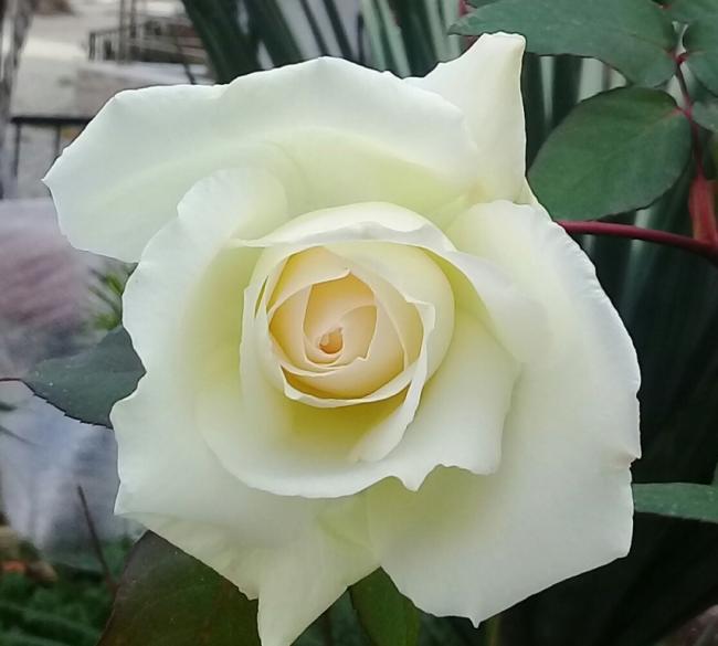 Name:  20210107_130541.jpg
Views: 346
Size:  33.2 KB