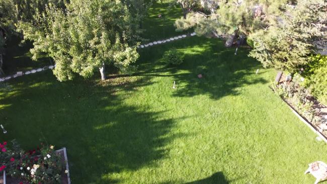 Name:  vlcsnap-2021-02-20-15h48m37s838.jpg
Views: 445
Size:  57.0 KB