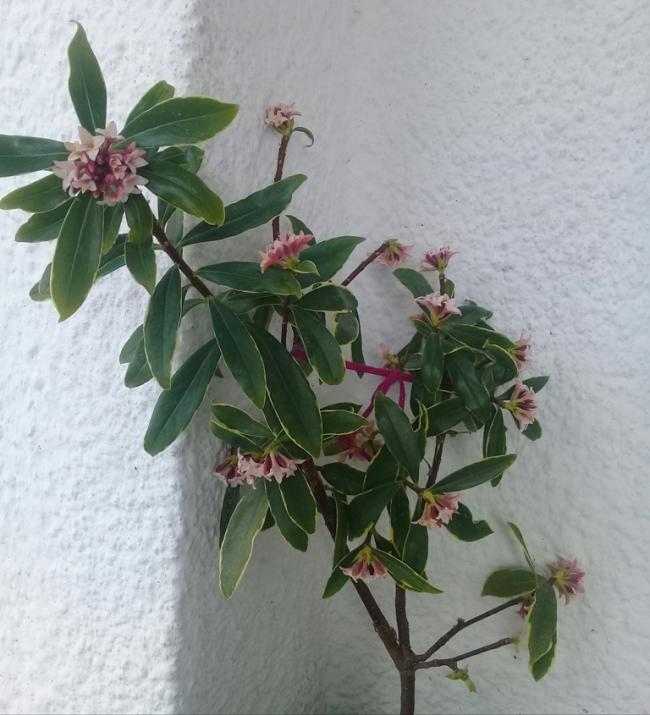 Name:  20190302_155115.jpg
Views: 583
Size:  59.7 KB