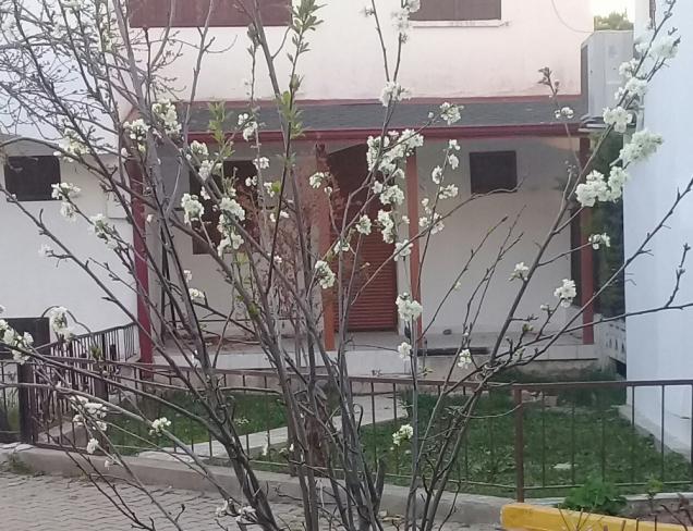 Name:  20210410_191836.jpg
Views: 312
Size:  70.3 KB